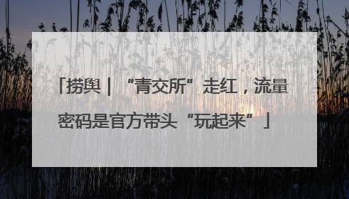 捞舆｜“青交所”走红，流量密码是官方带头“玩起来”