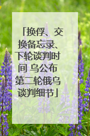 换俘、交换备忘录、下轮谈判时间 乌公布第二轮俄乌谈判细节