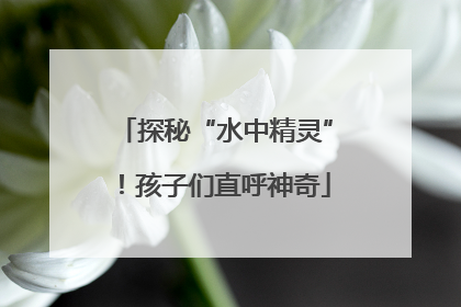 探秘“水中精灵”！孩子们直呼神奇