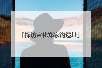探访宣化郑家沟遗址