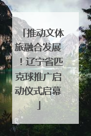 推动文体旅融合发展！辽宁省匹克球推广启动仪式启幕