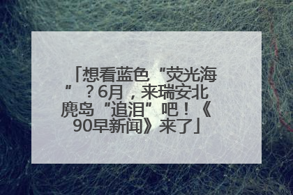 想看蓝色“荧光海”？6月，来瑞安北麂岛“追泪”吧！《90早新闻》来了