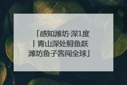 感知潍坊·深1度丨青山深处鲟鱼跃 潍坊鱼子酱闯全球
