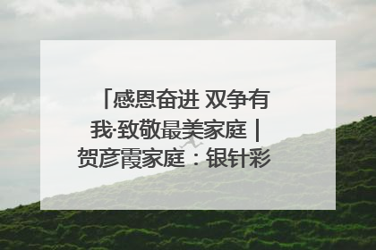 感恩奋进 双争有我·致敬最美家庭｜贺彦霞家庭：银针彩线绣出好日子