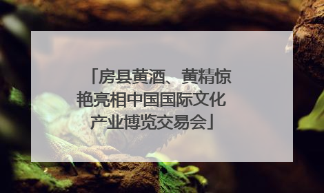 房县黄酒、黄精惊艳亮相中国国际文化产业博览交易会