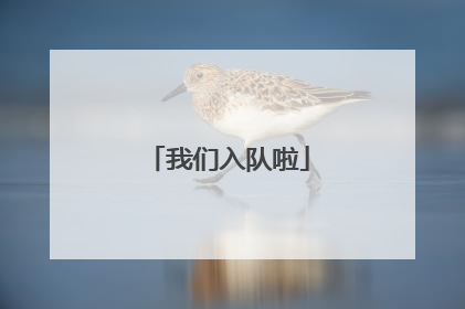 我们入队啦