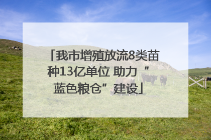 我市增殖放流8类苗种13亿单位 助力“蓝色粮仓”建设
