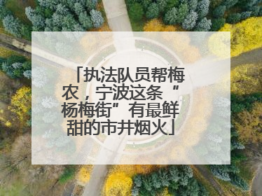 执法队员帮梅农，宁波这条“杨梅街”有最鲜甜的市井烟火