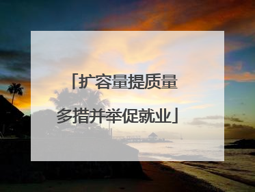 扩容量提质量 多措并举促就业