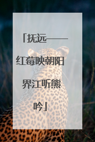 抚远——红莓映朝阳 界江听熊吟