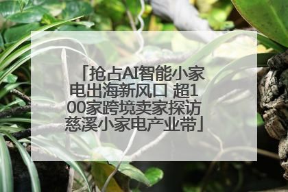 抢占AI智能小家电出海新风口 超100家跨境卖家探访慈溪小家电产业带