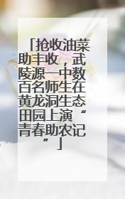 抢收油菜助丰收，武陵源一中数百名师生在黄龙洞生态田园上演“青春助农记”
