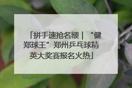 拼手速抢名额｜“健郑球王”郑州乒乓球精英大奖赛报名火热