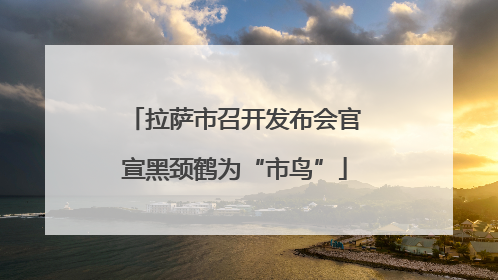 拉萨市召开发布会官宣黑颈鹤为“市鸟”