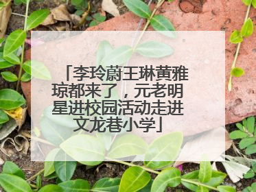 李玲蔚王琳黄雅琼都来了，元老明星进校园活动走进文龙巷小学