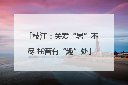 枝江：关爱“暑”不尽 托管有“趣”处