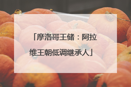摩洛哥王储：阿拉维王朝低调继承人