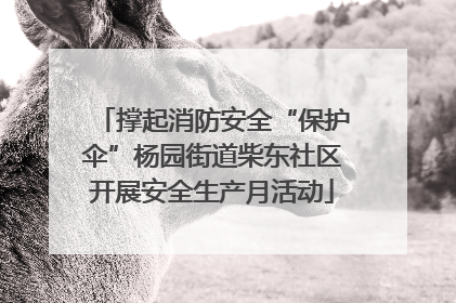 撑起消防安全“保护伞”杨园街道柴东社区开展安全生产月活动