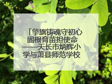 擎旗铸魂守初心 固根育苗担使命——天长市炳辉小学与萧县师范学校附属小学结对共建活动纪实