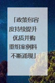 政策包容度持续提升 优质并购重组案例料不断涌现