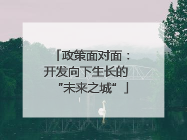 政策面对面：开发向下生长的“未来之城”