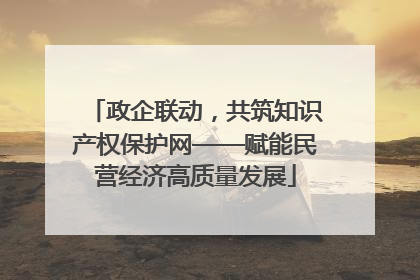 政企联动，共筑知识产权保护网——赋能民营经济高质量发展