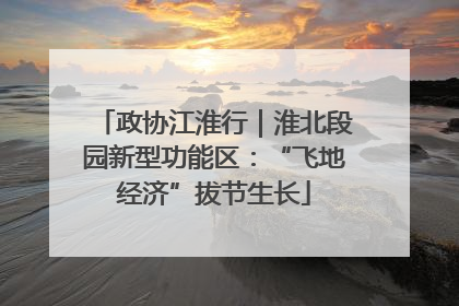 政协江淮行｜淮北段园新型功能区：“飞地经济”拔节生长