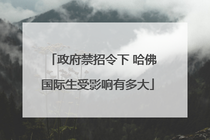 政府禁招令下 哈佛国际生受影响有多大