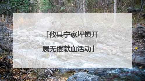 攸县宁家坪镇开展无偿献血活动