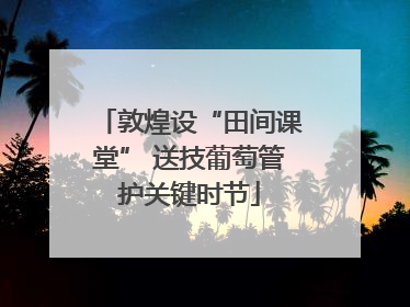 敦煌设“田间课堂” 送技葡萄管护关键时节