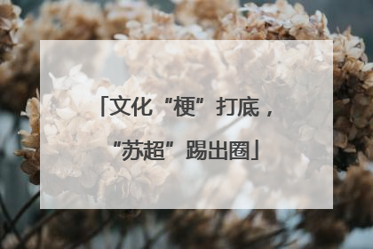 文化“梗”打底，“苏超”踢出圈