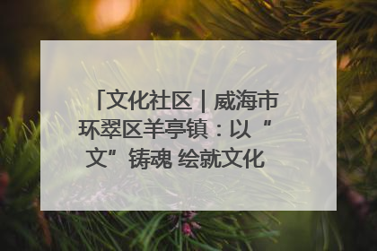 文化社区｜威海市环翠区羊亭镇：以“文”铸魂 绘就文化社区新画卷