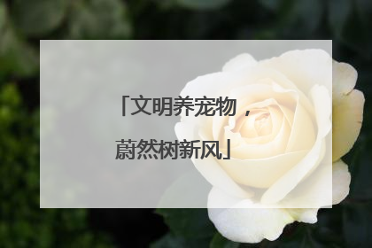 文明养宠物，蔚然树新风