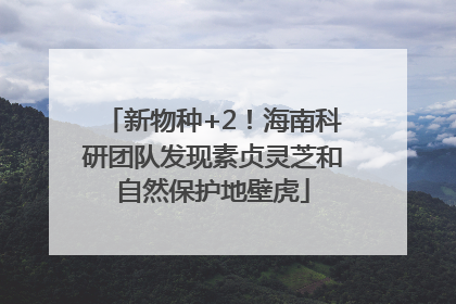 新物种+2！海南科研团队发现素贞灵芝和自然保护地壁虎