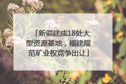新疆建成18处大型资源基地，福建规范矿业权竞争出让