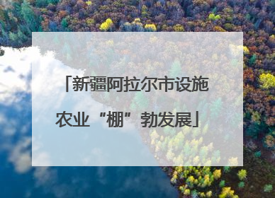 新疆阿拉尔市设施农业“棚”勃发展
