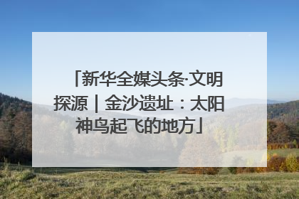新华全媒头条·文明探源｜金沙遗址：太阳神鸟起飞的地方