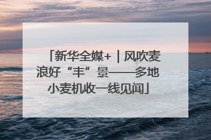 新华全媒+｜风吹麦浪好“丰”景——多地小麦机收一线见闻
