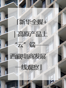 新华全媒+｜高原产品上“云”端——西藏电商发展一线观察