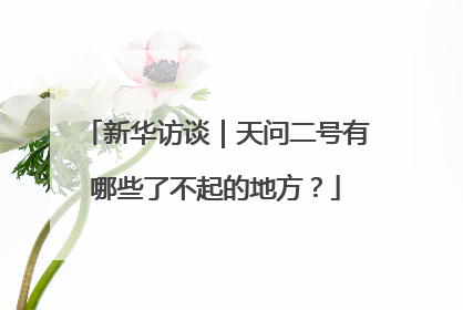 新华访谈｜天问二号有哪些了不起的地方？