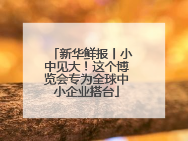 新华鲜报丨小中见大！这个博览会专为全球中小企业搭台