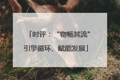 时评：“物畅其流”引擎循环、赋能发展