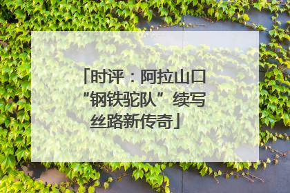 时评：阿拉山口“钢铁驼队”续写丝路新传奇