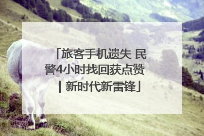 旅客手机遗失 民警4小时找回获点赞｜新时代新雷锋