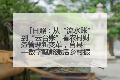 日照：从“流水账”到“云台账”看农村财务管理新变革，莒县——数字赋能激活乡村振兴“一池春水”