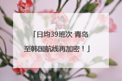 日均39班次 青岛至韩国航线再加密！
