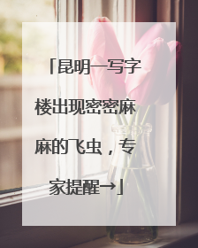 昆明一写字楼出现密密麻麻的飞虫，专家提醒→