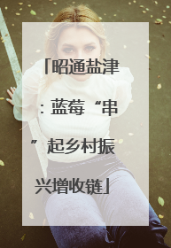 昭通盐津：蓝莓“串”起乡村振兴增收链
