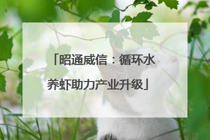 昭通威信：循环水养虾助力产业升级