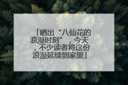 晒出“八仙花的浪漫时刻”，今天，不少读者将这份浪漫延续到家里
